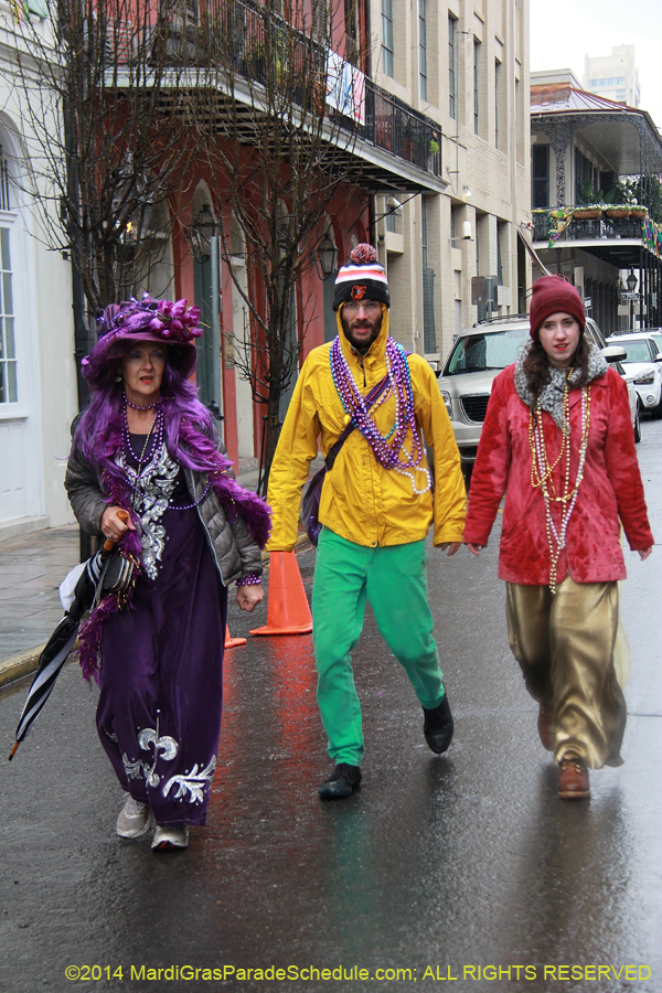 2014-Mardi-Gras-Day-11261