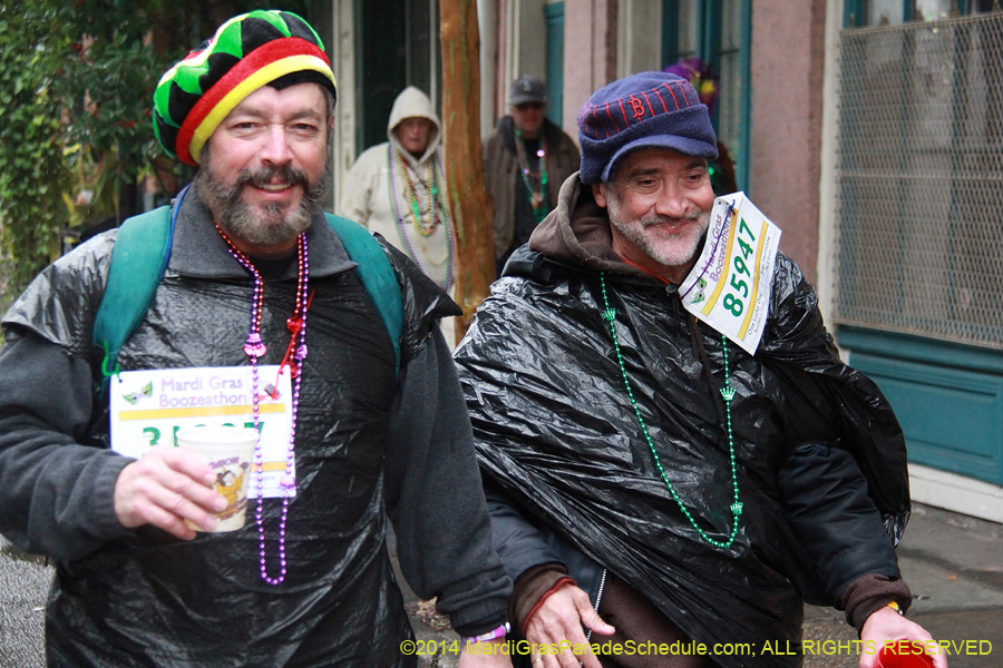 2014-Mardi-Gras-Day-11263