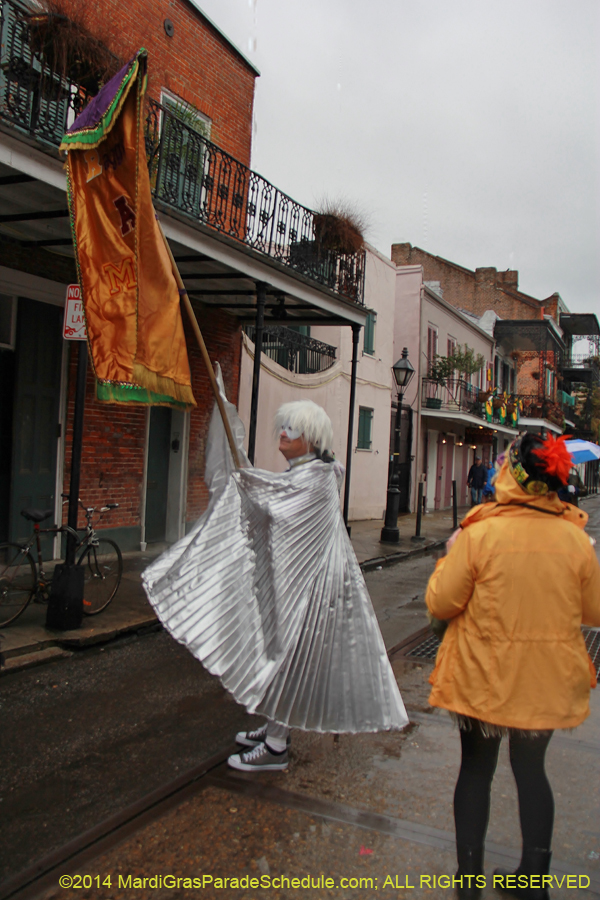 2014-Mardi-Gras-Day-11274