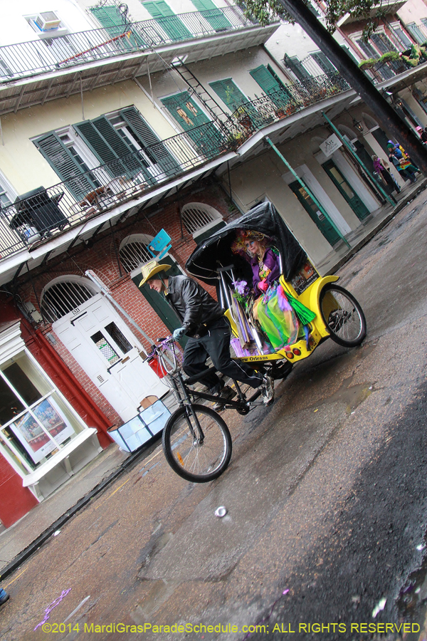 2014-Mardi-Gras-Day-11281