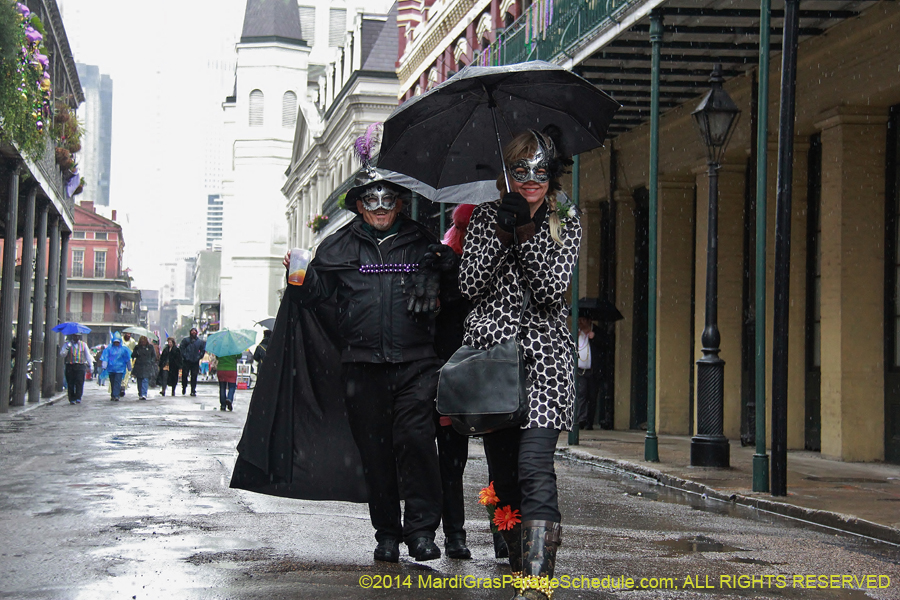 2014-Mardi-Gras-Day-11295