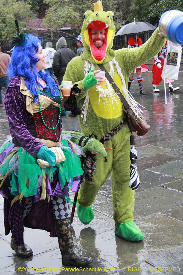 2014-Mardi-Gras-Day-11318