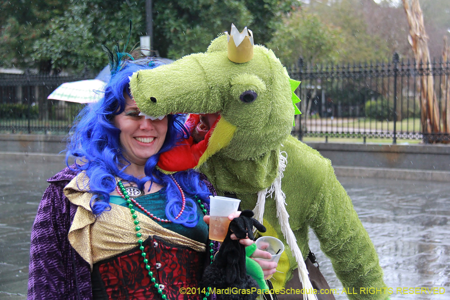 2014-Mardi-Gras-Day-11323