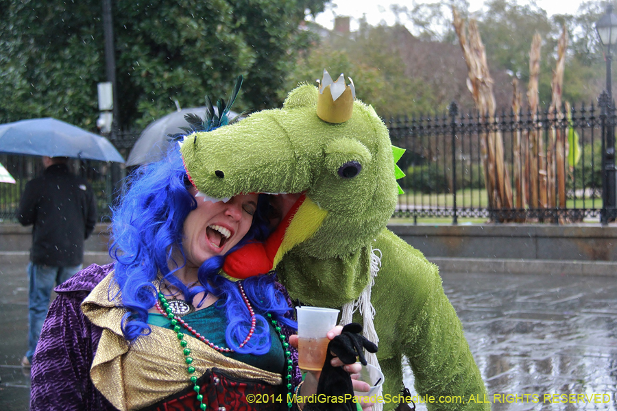 2014-Mardi-Gras-Day-11326