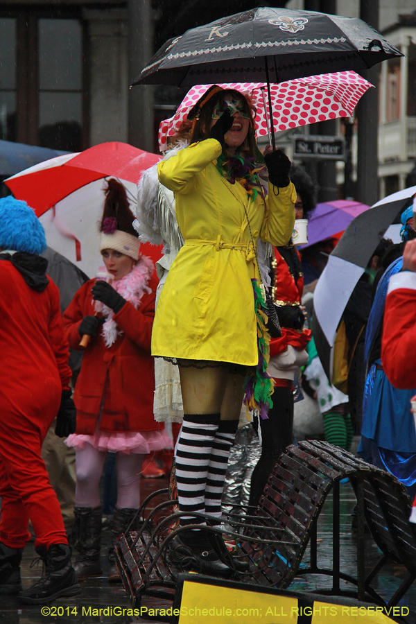 2014-Mardi-Gras-Day-11334