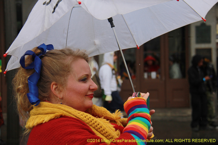 2014-Mardi-Gras-Day-11339