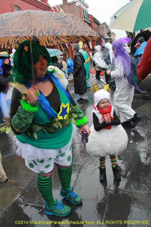 2014-Mardi-Gras-Day-11340