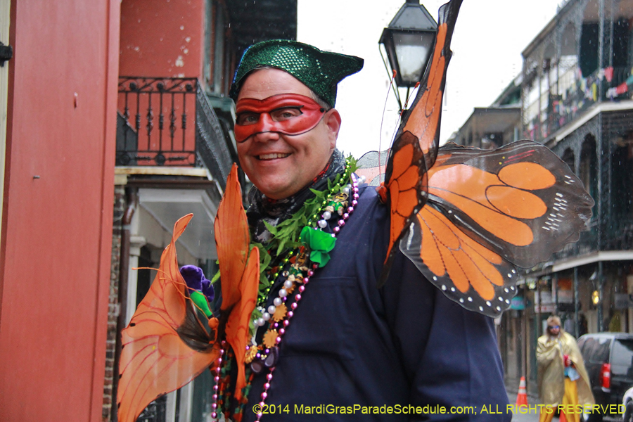 2014-Mardi-Gras-Day-11345