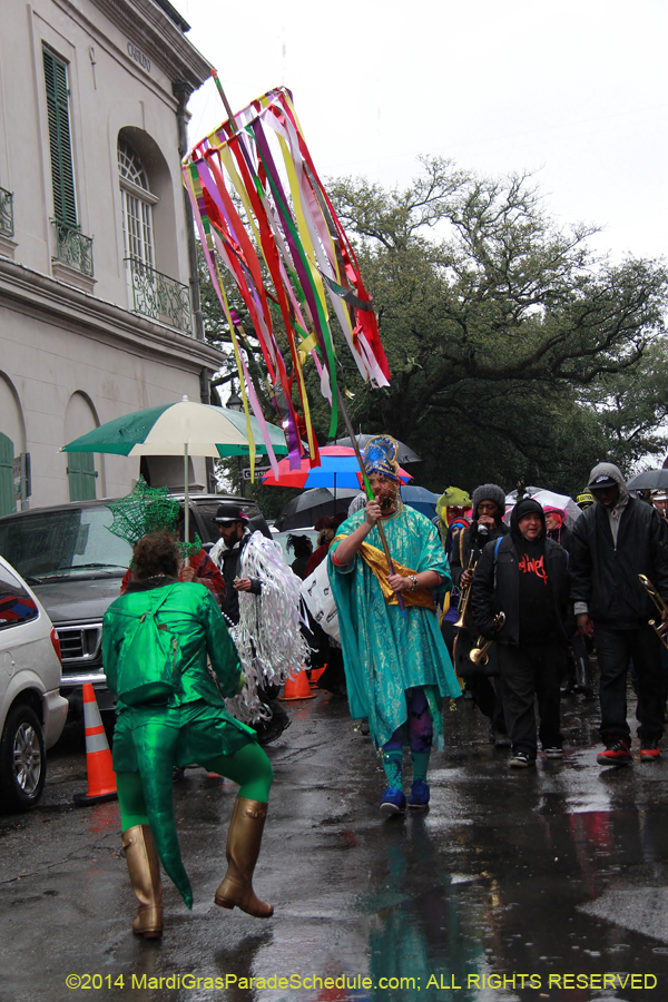 2014-Mardi-Gras-Day-11351