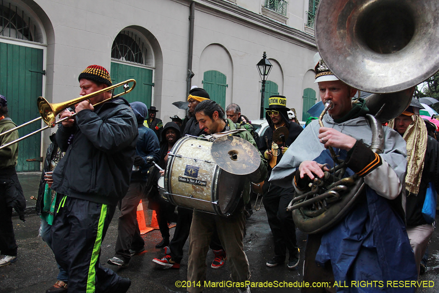 2014-Mardi-Gras-Day-11356