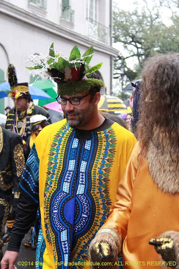 2014-Mardi-Gras-Day-11357