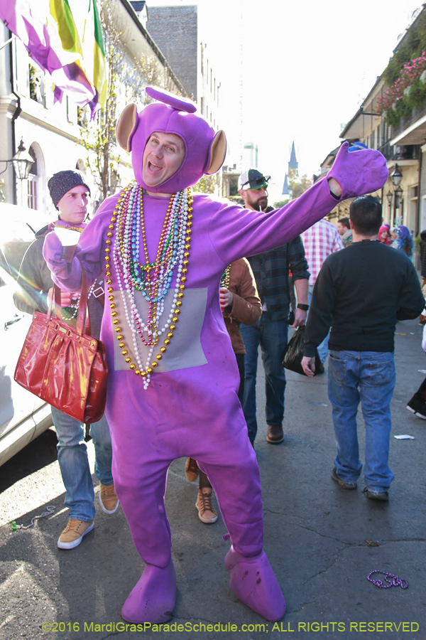 2016-Mardi-Gras-Day-walk015240