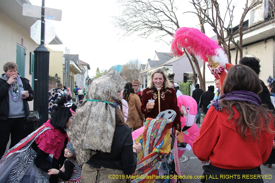 Mardi-Gras-Day-Stroll-2019-011803