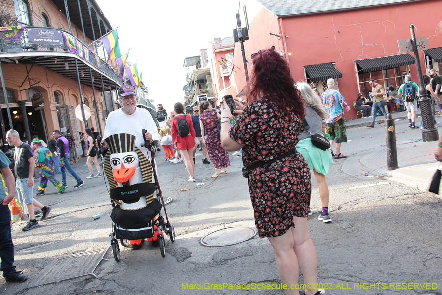 2023-Mardi-Gras-Walk-10784