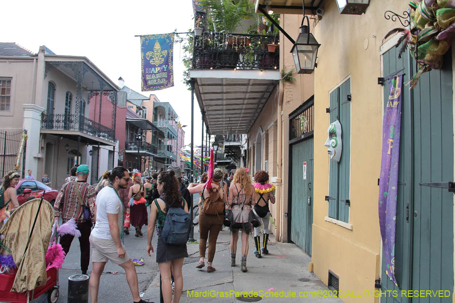 2023-Mardi-Gras-Walk-10804