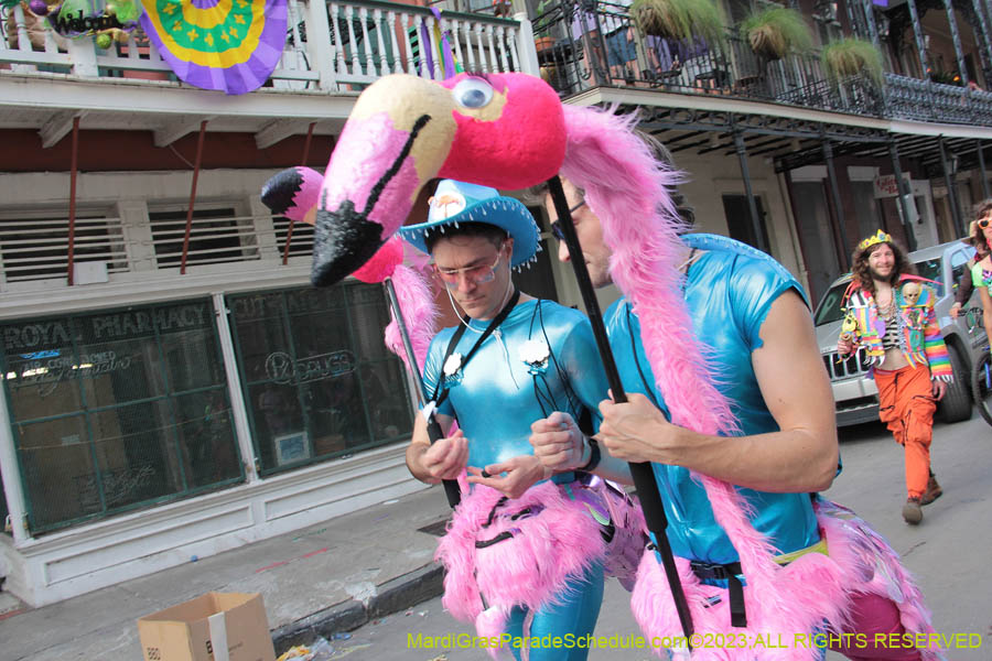 2023-Mardi-Gras-Walk-10821