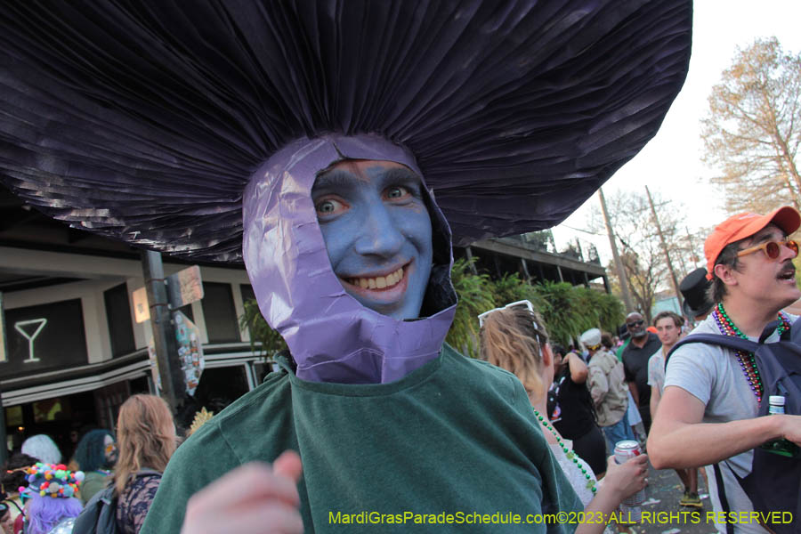 2023-Mardi-Gras-Walk-10847