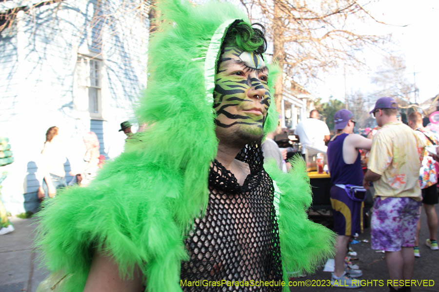 2023-Mardi-Gras-Walk-10869