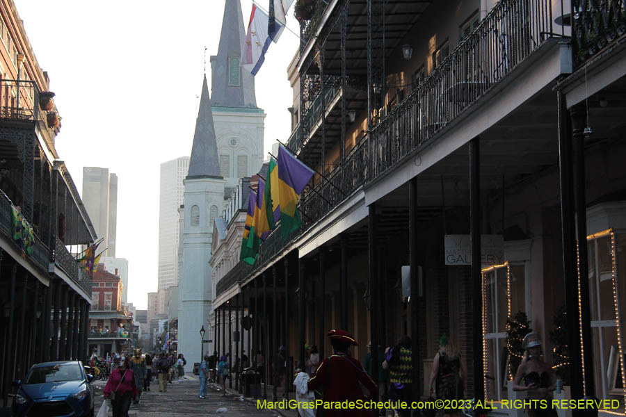 2023-Mardi-Gras-Walk-10938