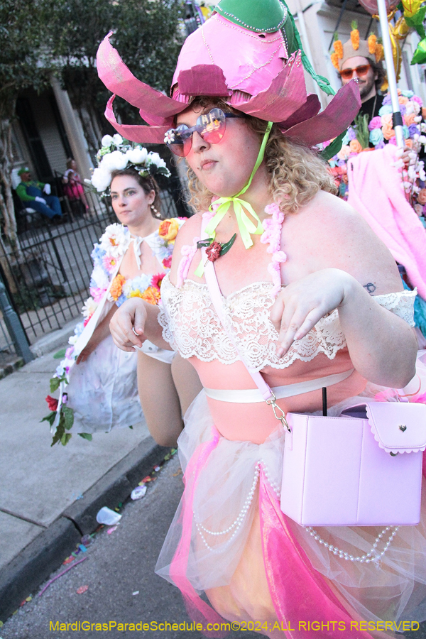 2024-Mardi-Gras-Day-13735