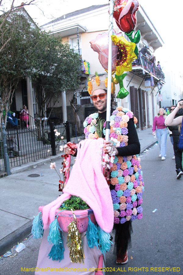 2024-Mardi-Gras-Day-13736