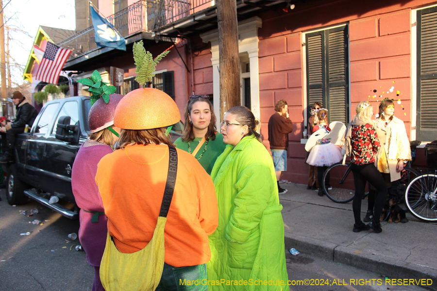 2024-Mardi-Gras-Day-13742