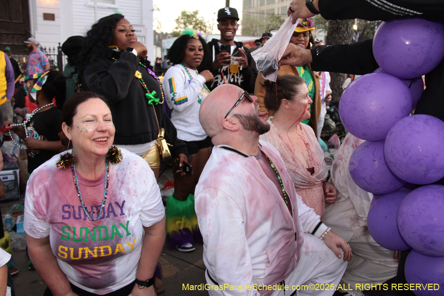 Box-of-Wine-2025-2192