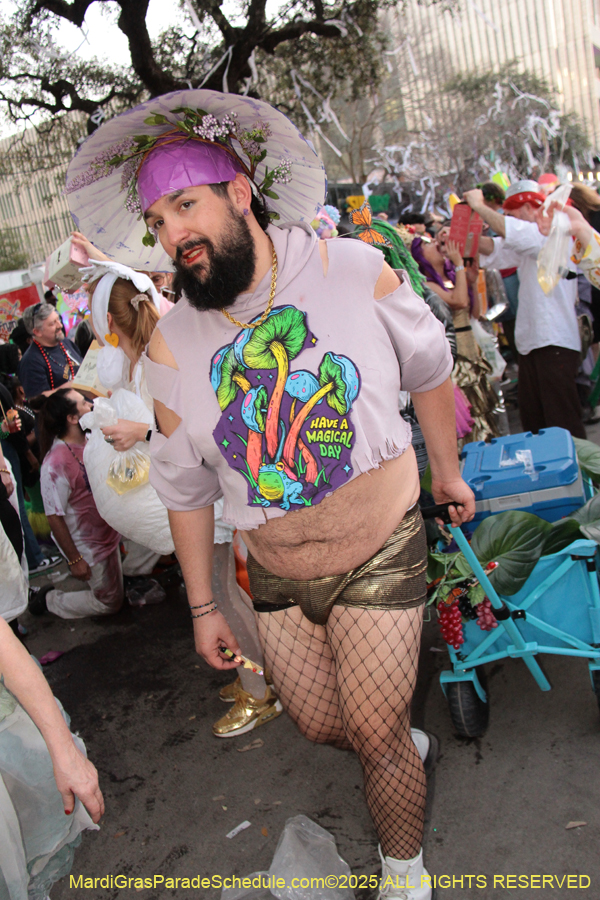 Box-of-Wine-2025-2214