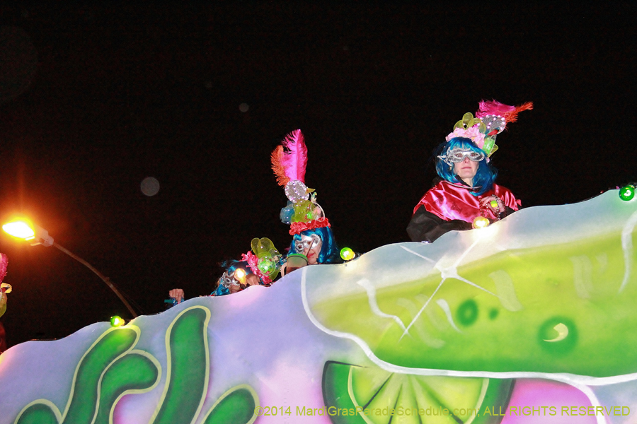 2014-Mystic-Krewe-of-Nyx-11146