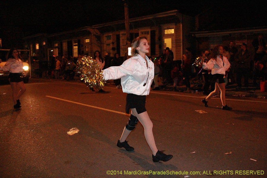 2014-Mystic-Krewe-of-Nyx-11276