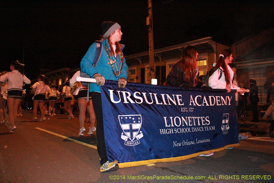 2014-Mystic-Krewe-of-Nyx-11323