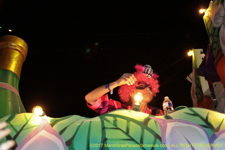 Krewe-of-Nyx-2017-05562