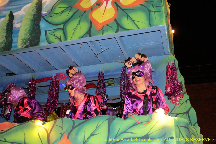 Krewe-of-Nyx-2017-05586