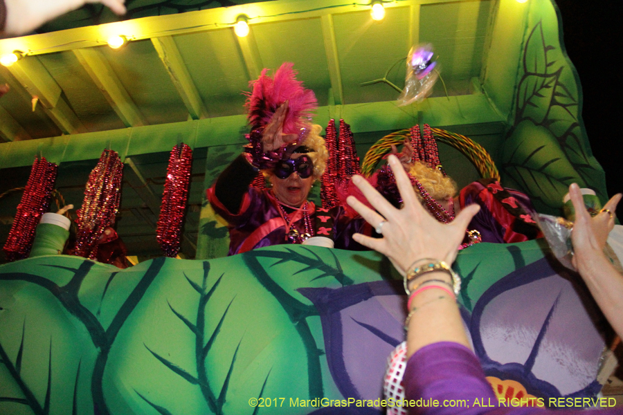 Krewe-of-Nyx-2017-05709