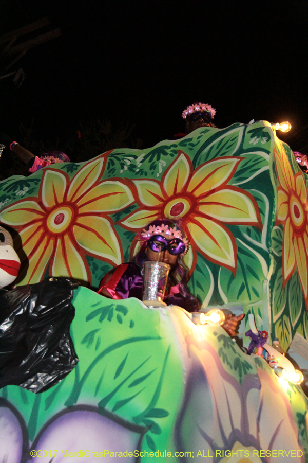 Krewe-of-Nyx-2017-05790