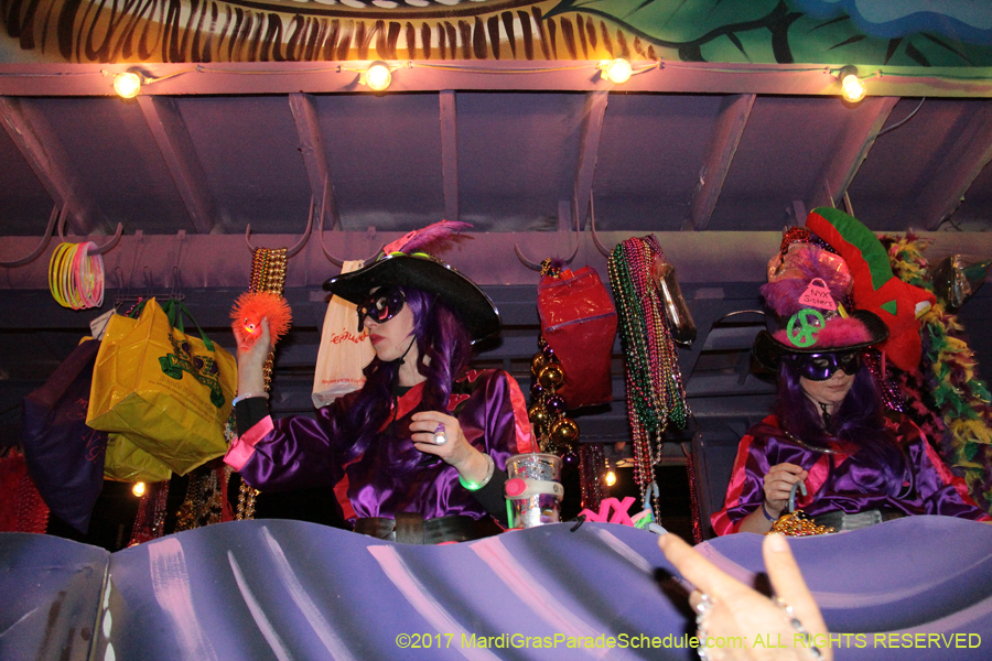 Krewe-of-Nyx-2017-06010