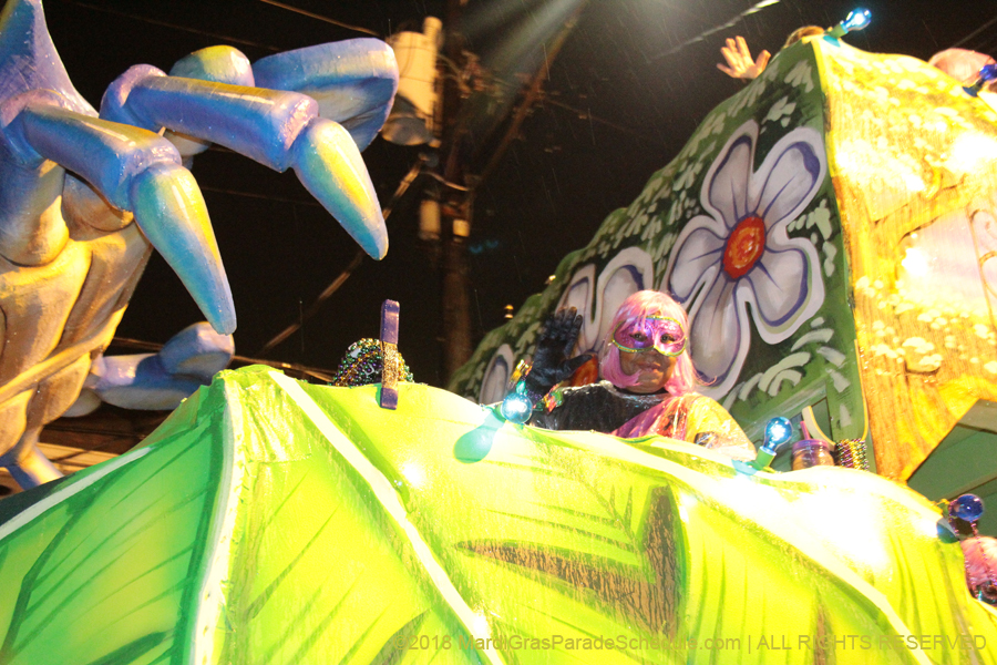 2018-Krewe-of-Nyx-00003628