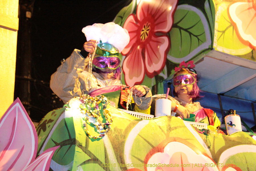 2018-Krewe-of-Nyx-00003668