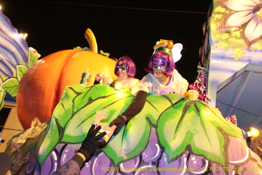 2018-Krewe-of-Nyx-00003672