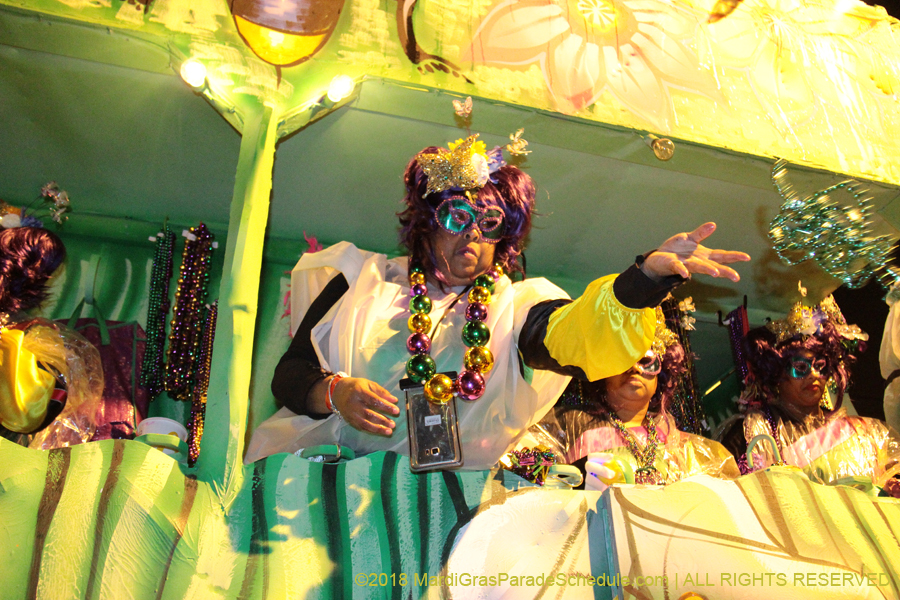 2018-Krewe-of-Nyx-00003692