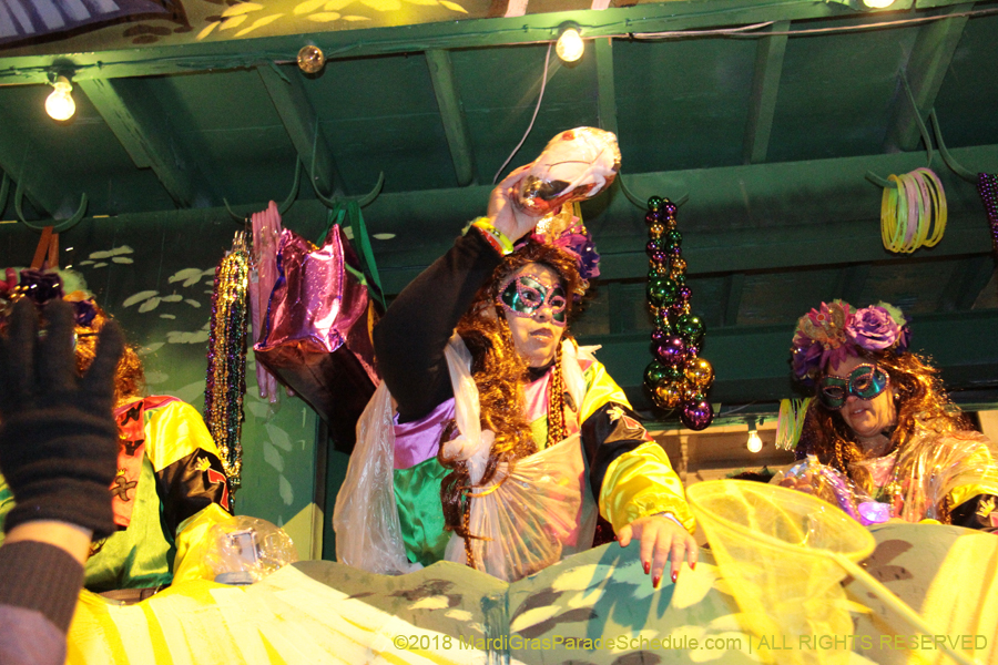 2018-Krewe-of-Nyx-00003746