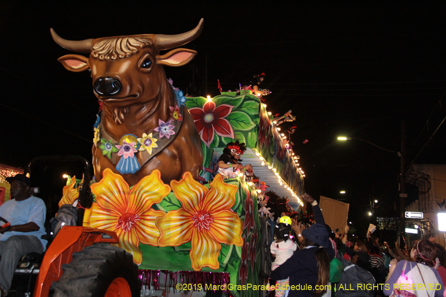 Mystic-Krewe-of-Nyx-2019-004651