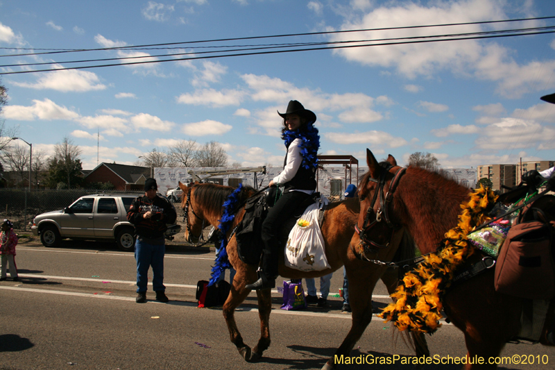 Mystic-Knights-of-Adonis-2010-Mardi-Gras-Westbank-3334