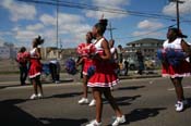 Mystic-Knights-of-Adonis-2010-Mardi-Gras-Westbank-3343