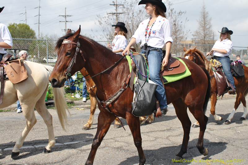 Krewe-of-Adonis-2011-0090