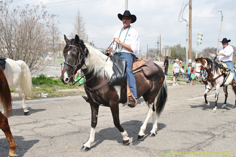 Krewe-of-Adonis-2011-0092