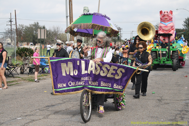 Krewe-of-Adonis-2011-0135