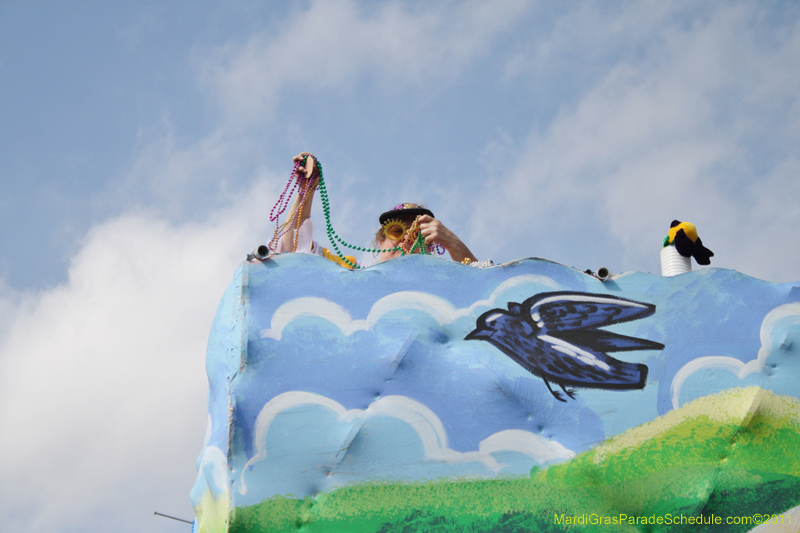 Krewe-of-Adonis-2011-0165