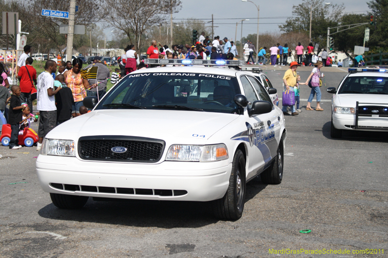 Krewe-of-Adonis-2011-0200