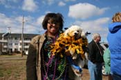 Krewe-of-Alla-2010-Westbank-Mardi-Gras-3644